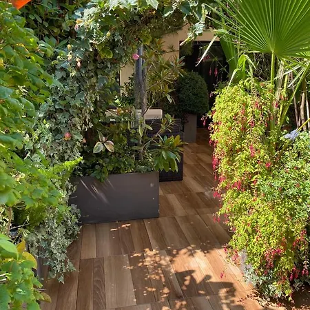Terrasse Exceptionnelle Centre De Nice