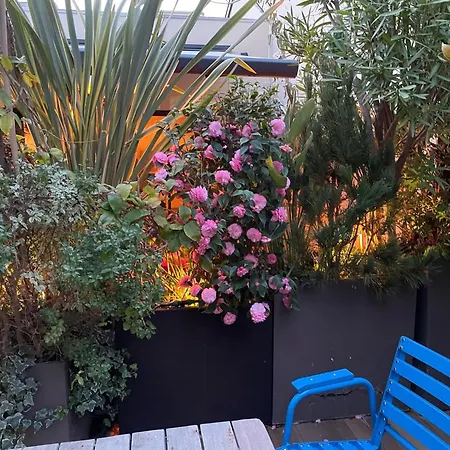 Terrasse Exceptionnelle Centre De * Nice