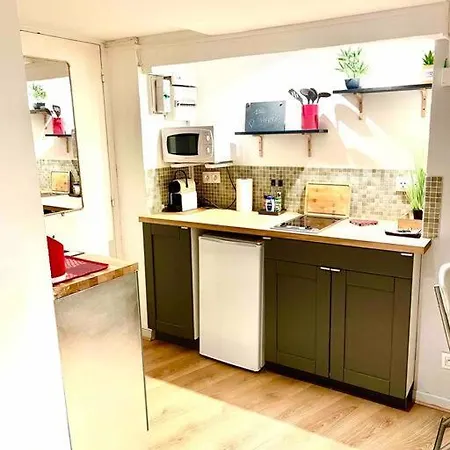 Studio Au Coeur Du Vieux Apartment Nice