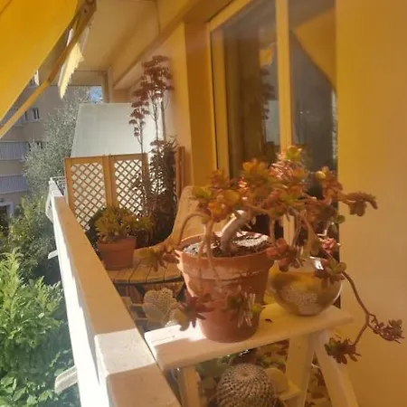 Apartment Spacieux Au Calme Sur La Colline De Cimiez Nice
