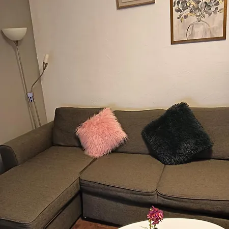 Meublee Dans Un F3