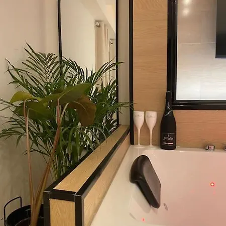 Apartment Balneo Jacuzzi Climatise