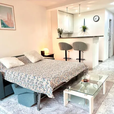 Grand Lumineux Avec Jardin Apartment *