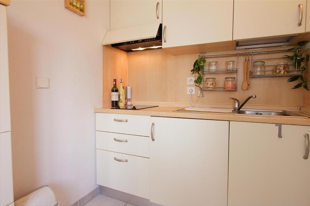 Apartment Palais Des Arts *