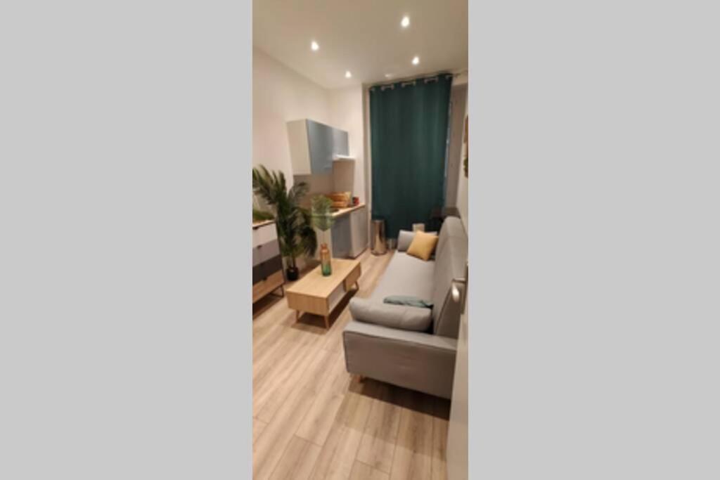 Studette Entierement Renovee Proche Gare - Liberation 2 Apartment