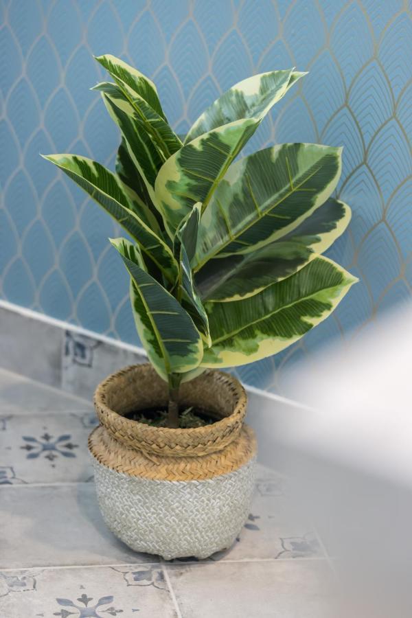 My Casa - Saint Siagre 1 * Nice