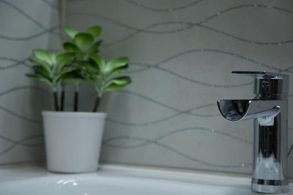 Stylish In Only 50 Meters From ! Nice