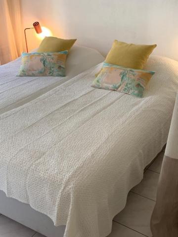 Villa Soraya , Quiet Location With Big Garden Near Beach And Old Town Of Nice * Nice