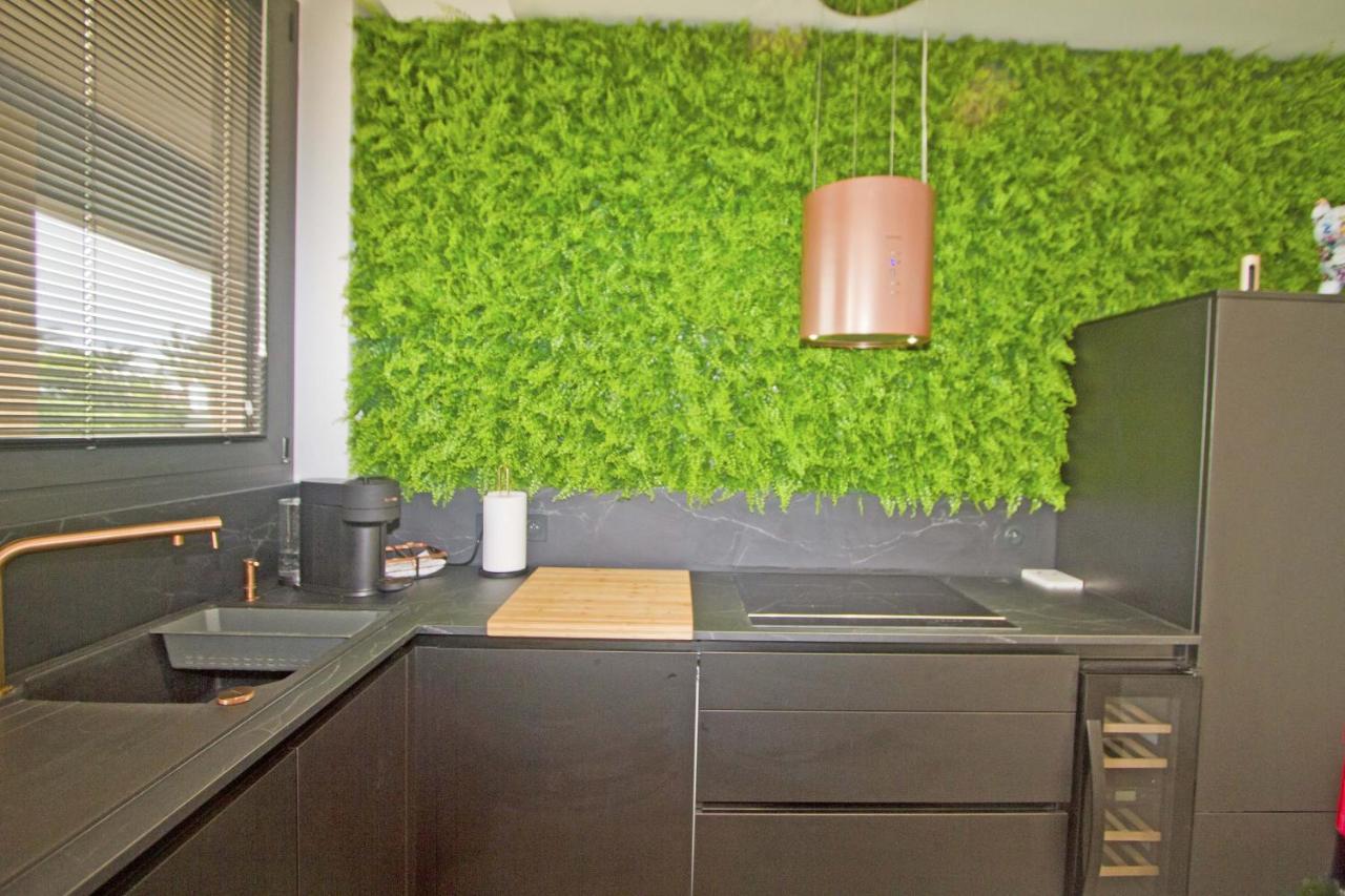 Luxury Garden Jacuzzi Promenade Apartment Nice