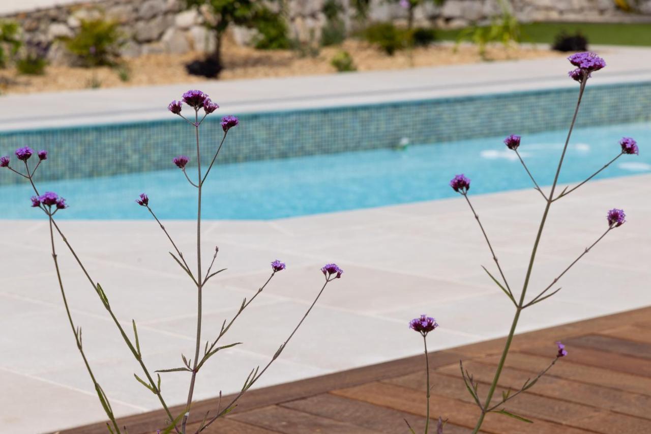 A True Paradise For Unforgettable Vacation - Pool And Sea View Villa Nice