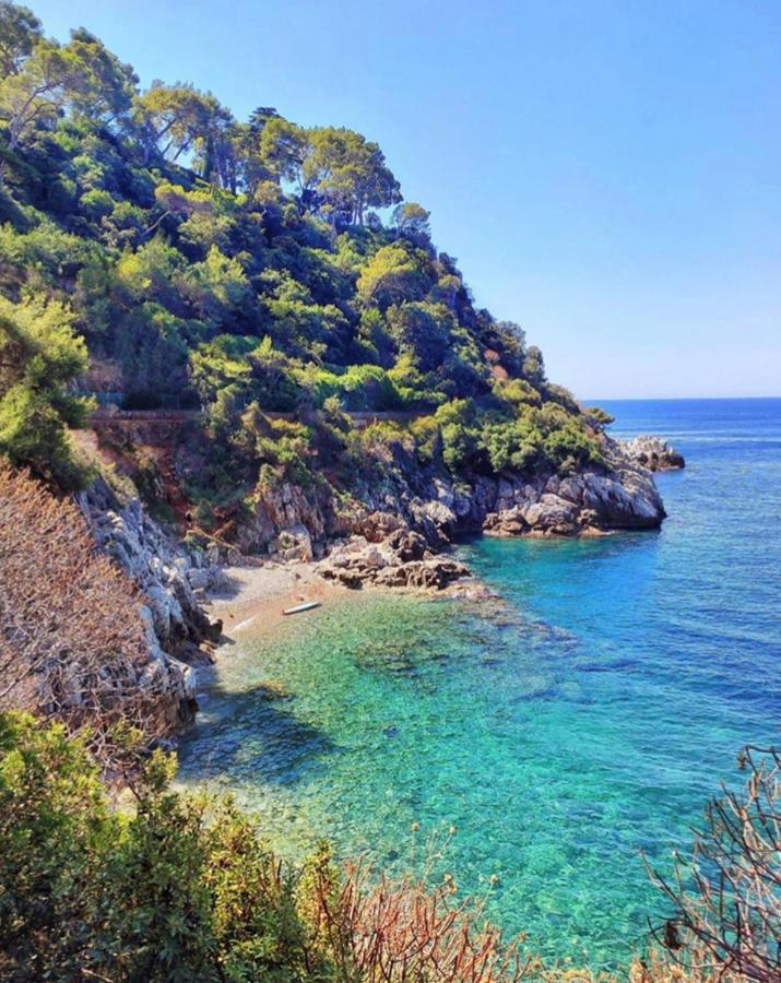 Great And Light Private In The Heart Of * Nice