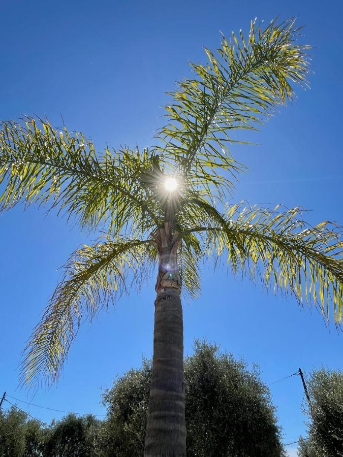 Villa Syagrus - Easy Nice