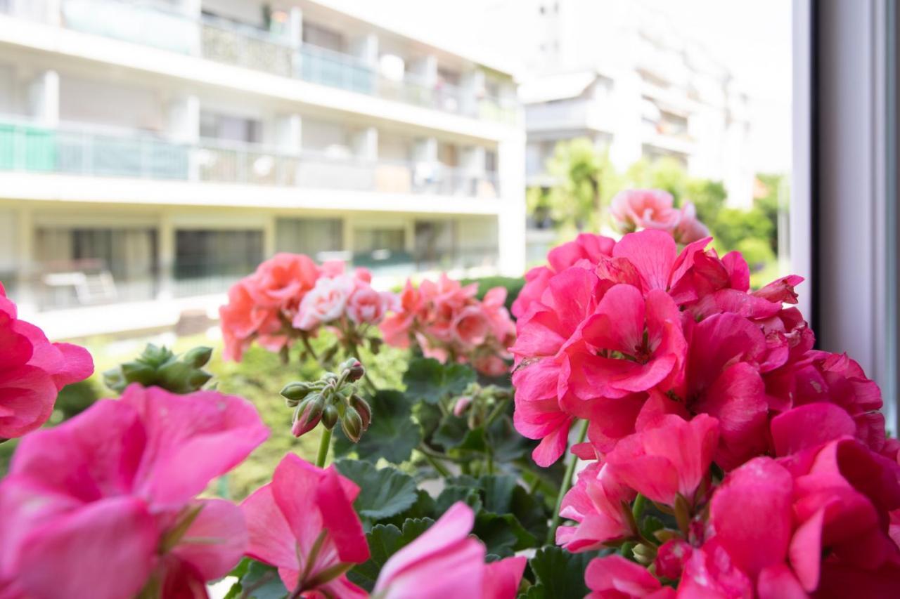 Boutique La Lavande Free Parking Center Apartment *