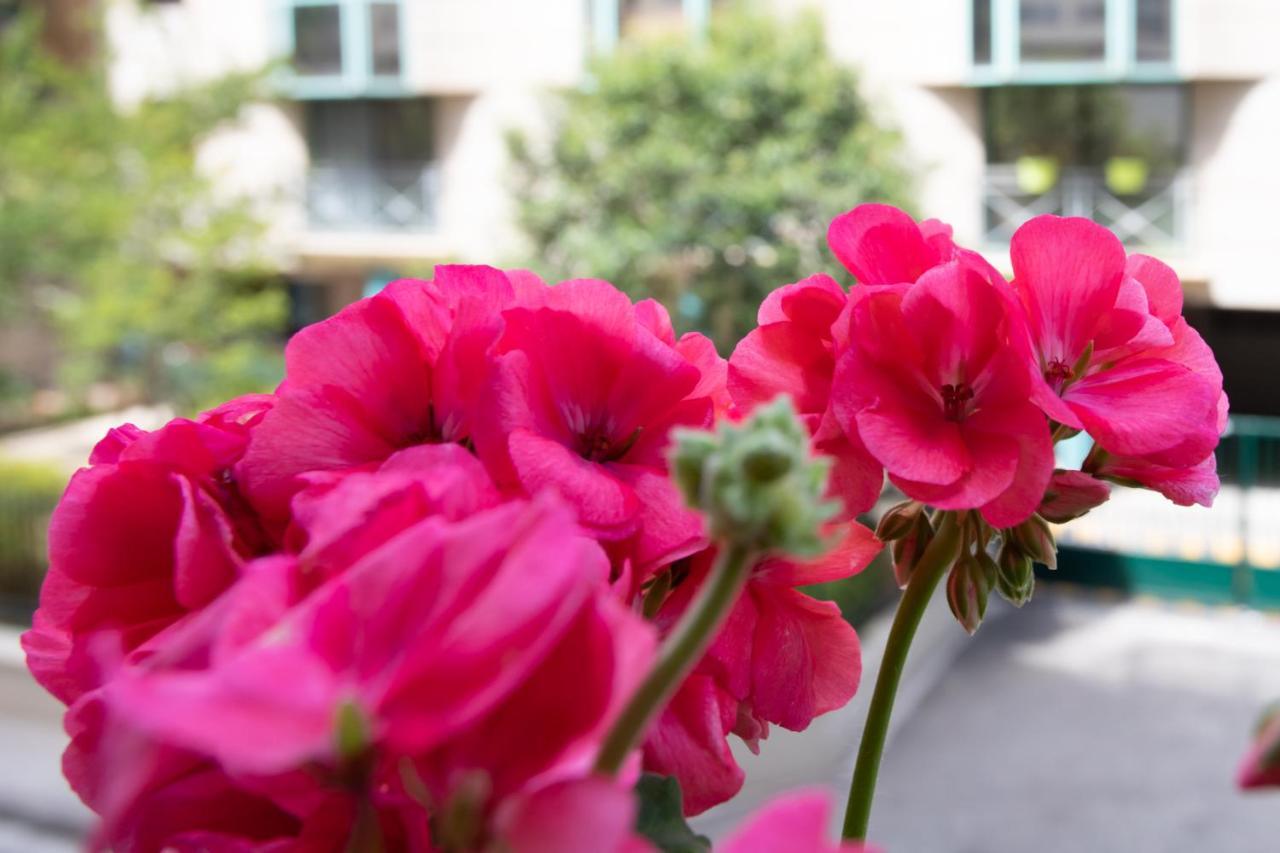 Apartment Boutique Center 3 Min Walk , Free Parking Nice