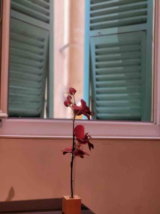 Apartment Vieux Vibrant