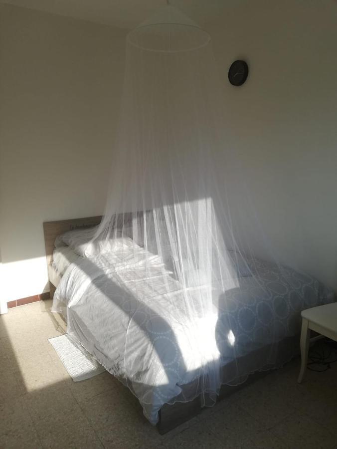 Homestay D'hotes Paisible Nice