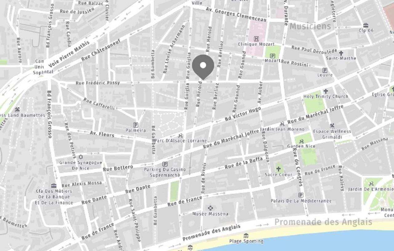 Riviera - Musiciens - Et Proche Promenade Des - Elegant & Luxueux 3 Pieces Ac Avec Terrasse & Balcon - Terrasse Palais Verdi Nice