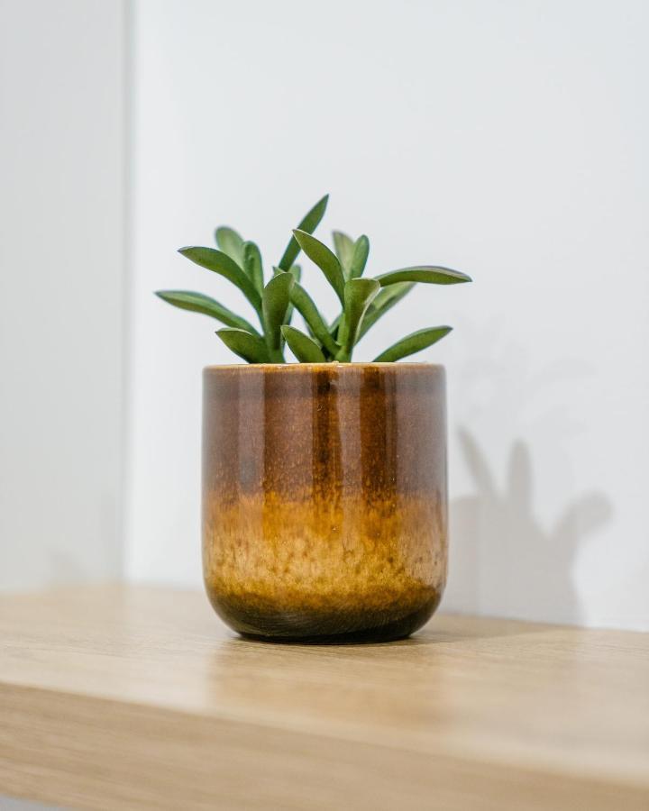 Apartment Nicehome Massena