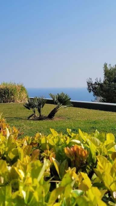 Flat 15minutes Walk From The Sea, - Cote D'azure Apartment