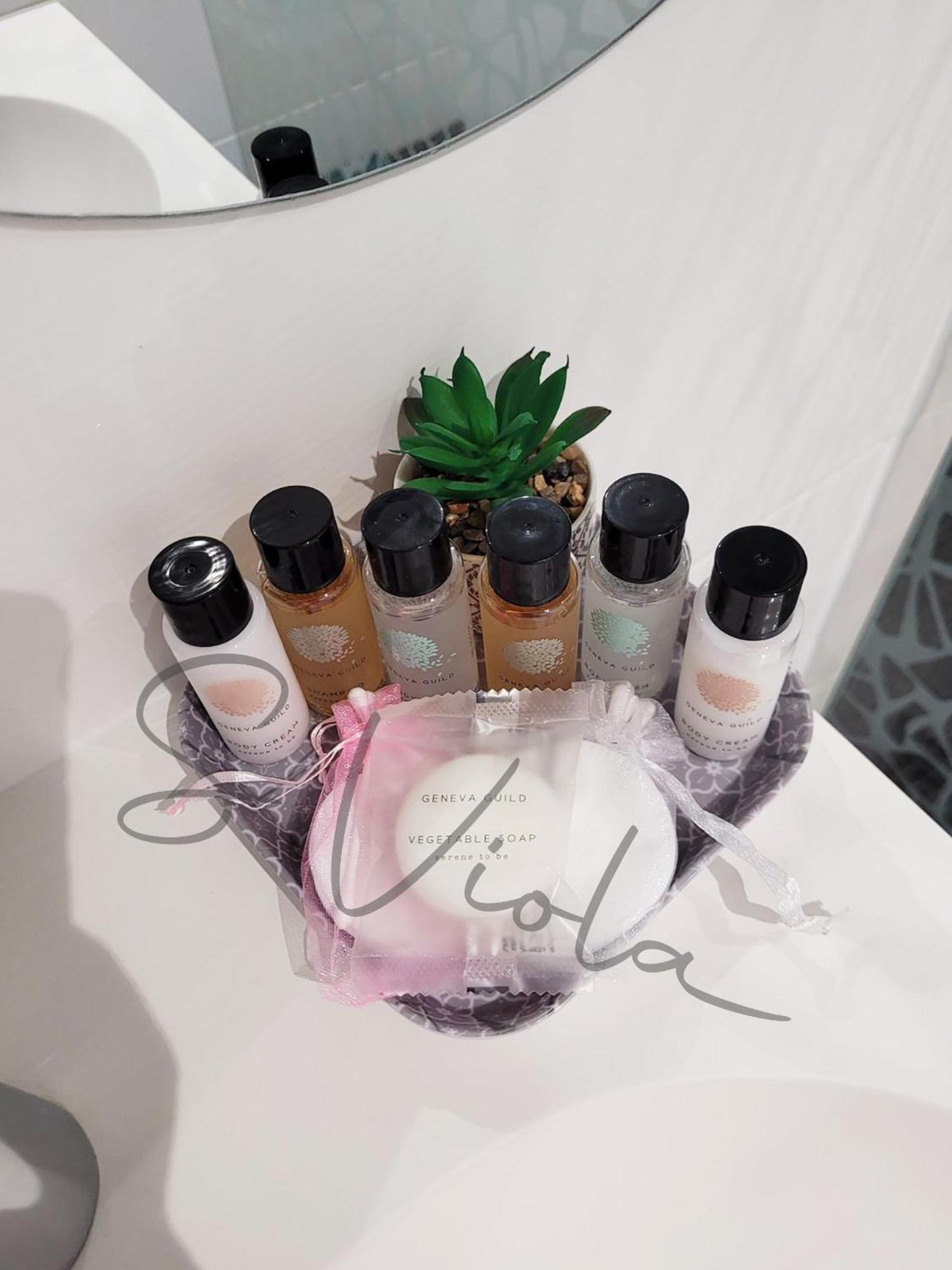 Apartment Royal Lux -last Floor, View Nice