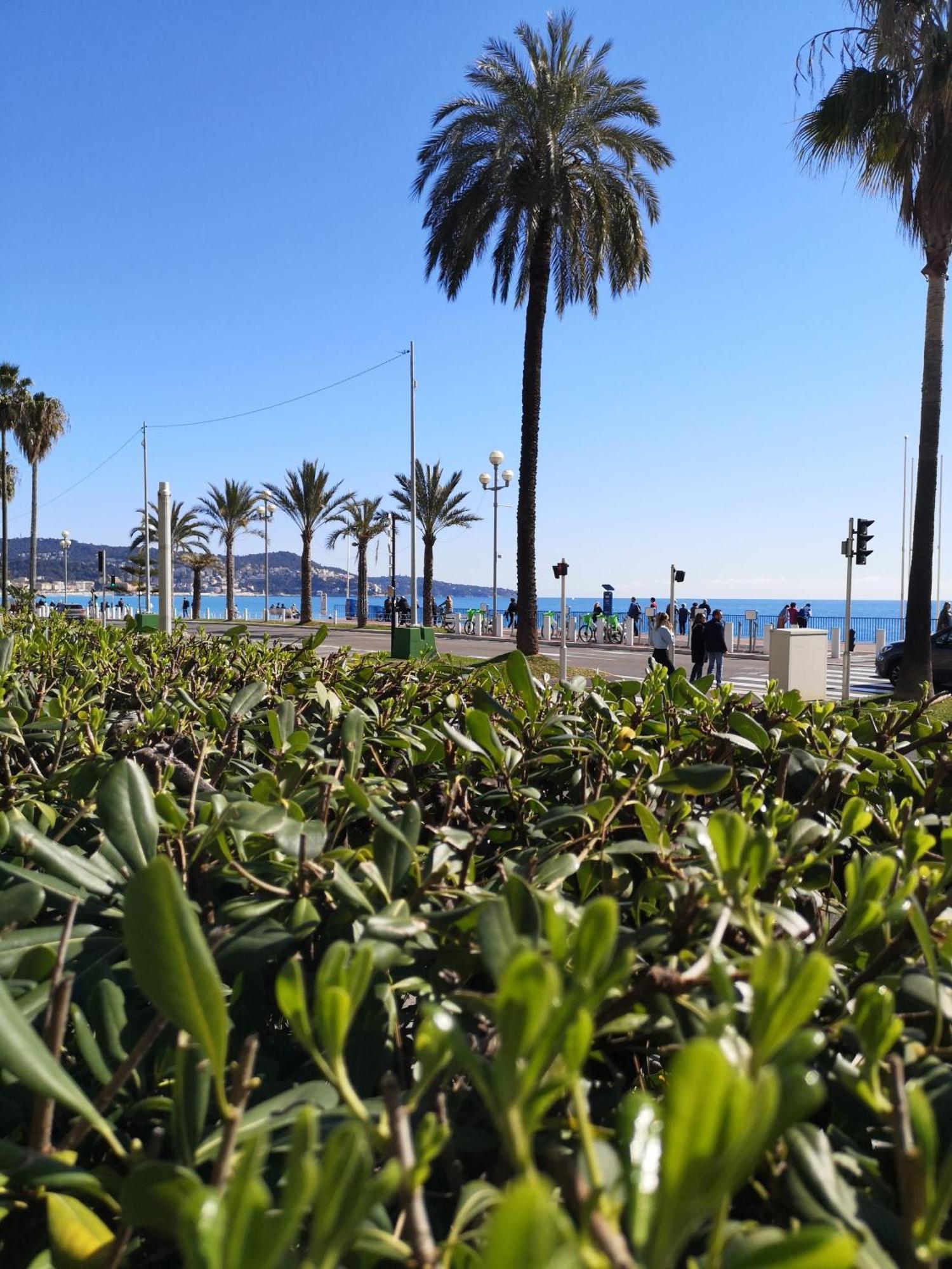 Garden Atlantide Promenade Apartment Nice