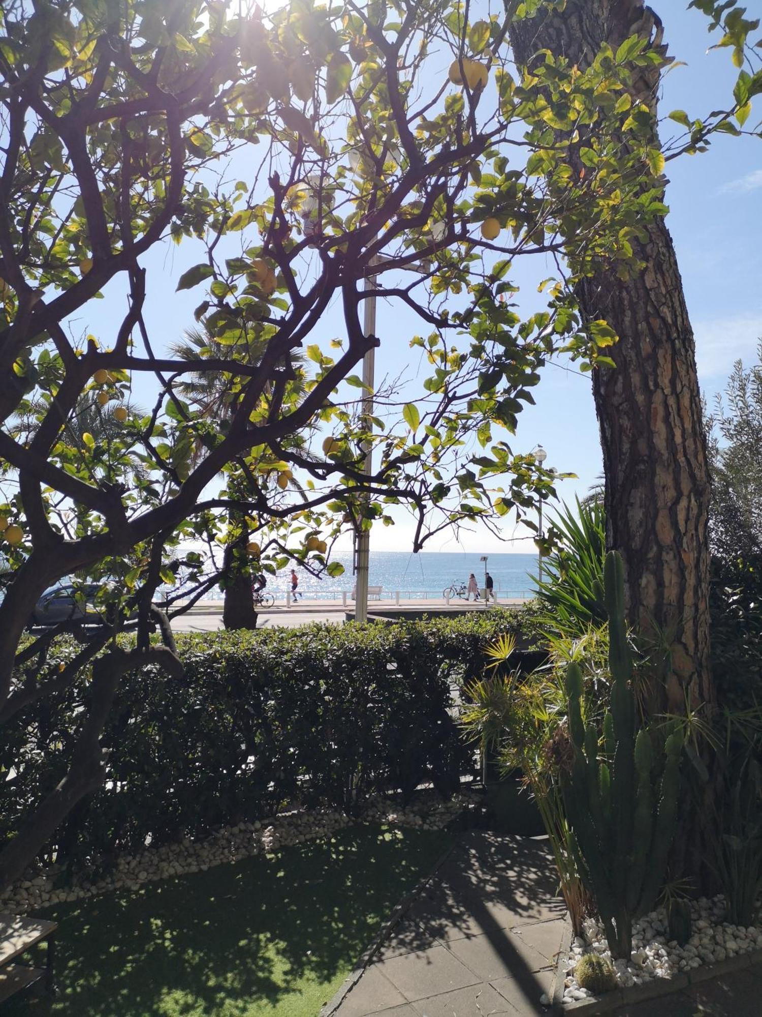 Garden Atlantide Promenade