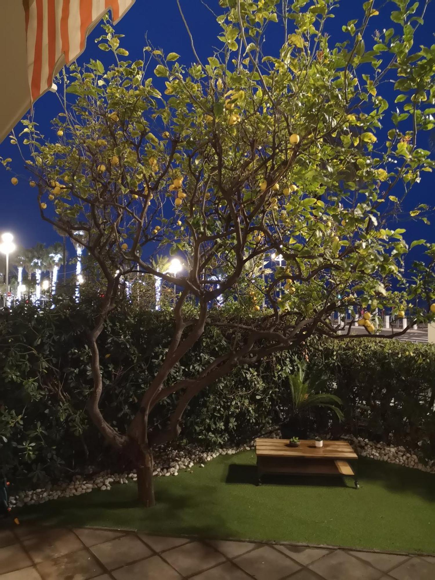 Garden Atlantide Promenade Apartment *