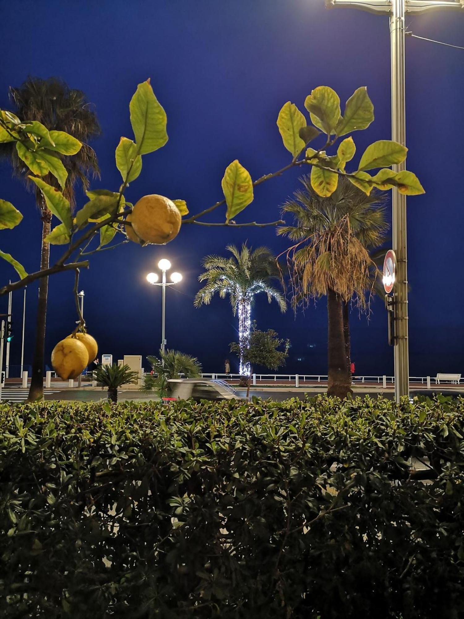 Apartment Garden Atlantide Promenade