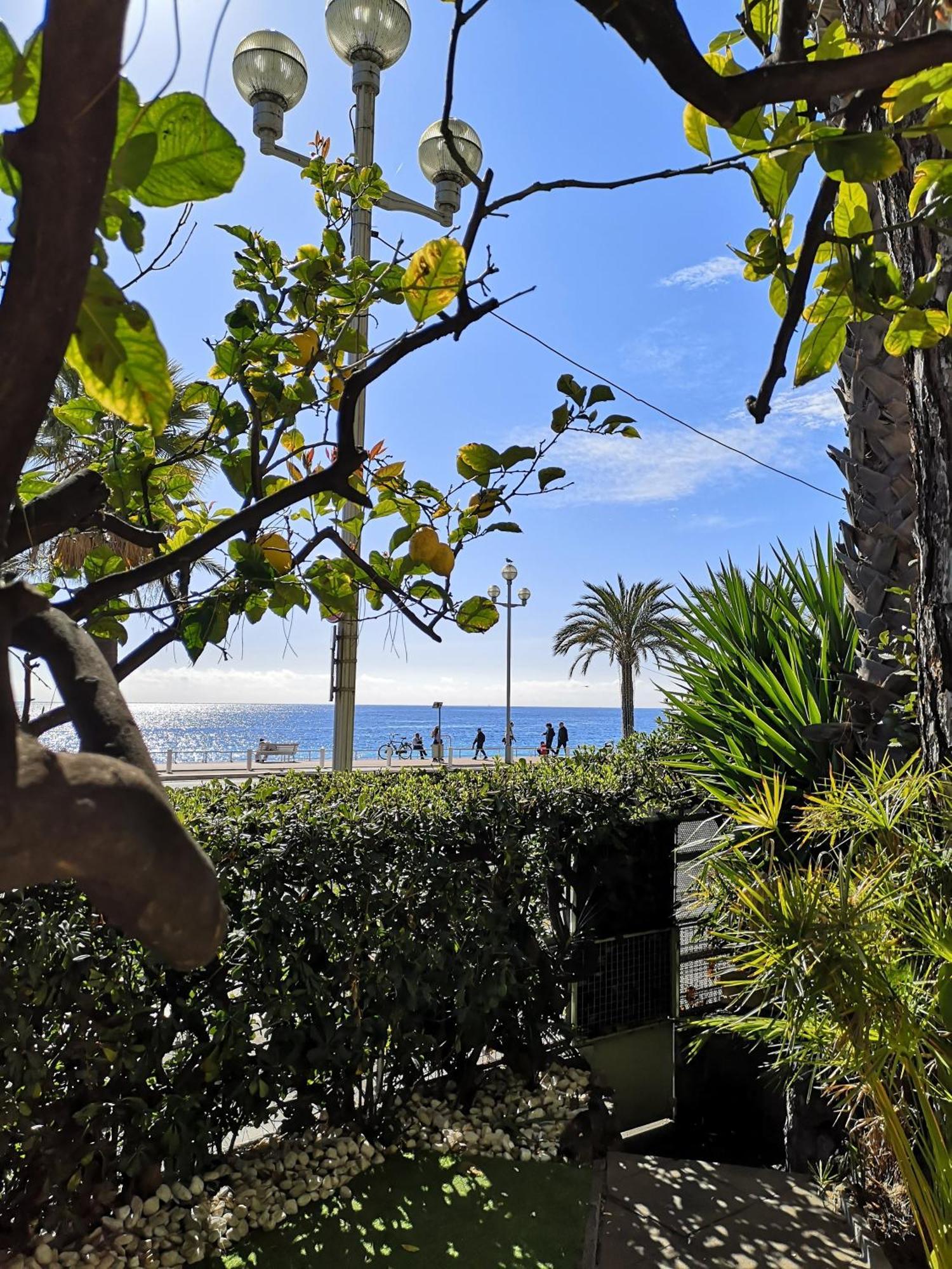 Garden Atlantide Promenade Nice