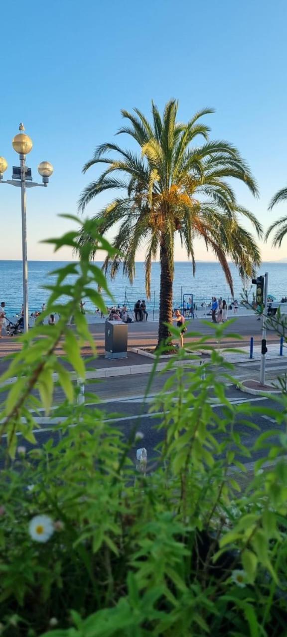 Apartment Heart Of Vieux & Saleya