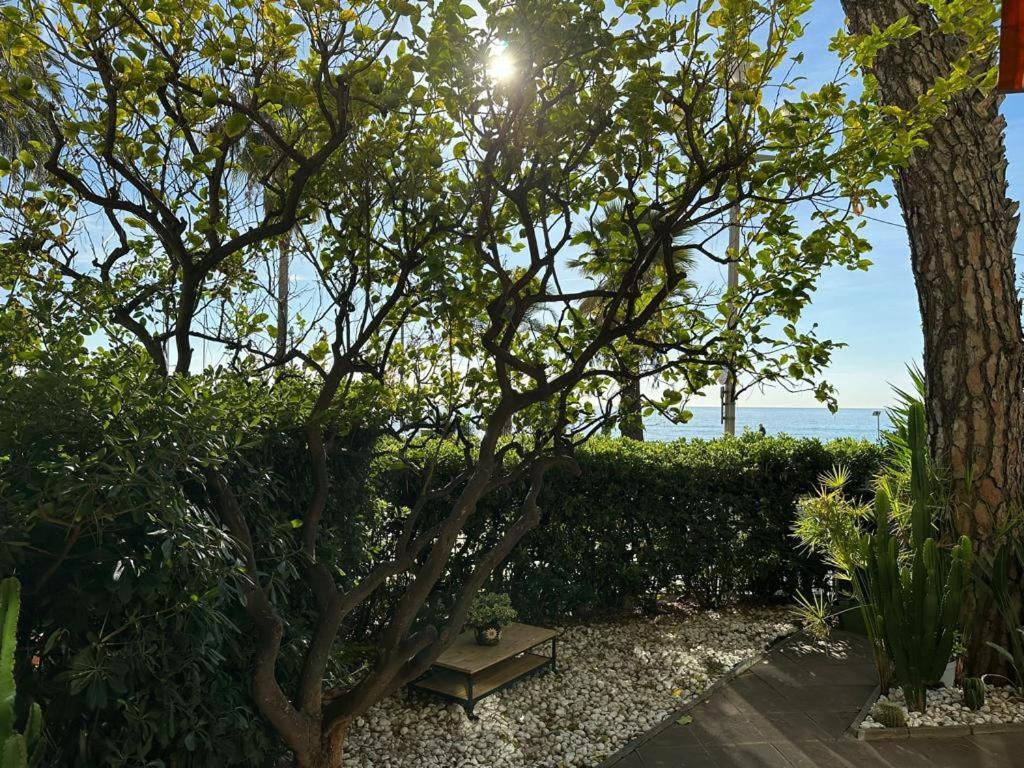 Garden Atlantide Promenade