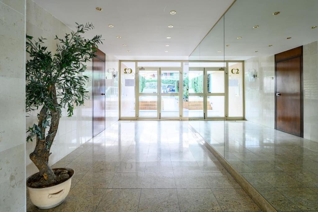 Appartement Absea Belles Terres C Nice