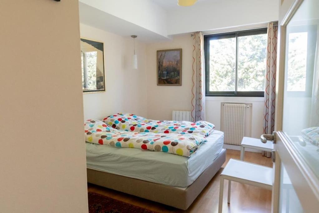 Apartment Georges V - Superb 100m2 With Ac Nice