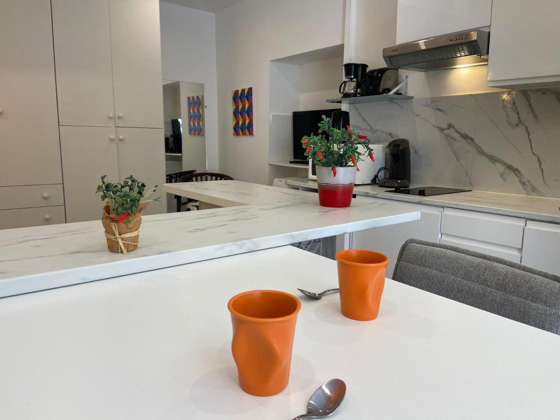 Pv1- Paul Valery Five Stars House Nice