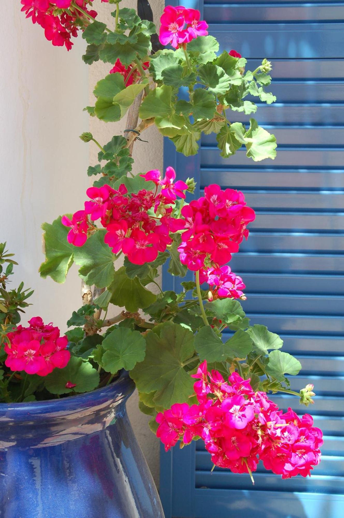 Hotel De La Fontaine Nice