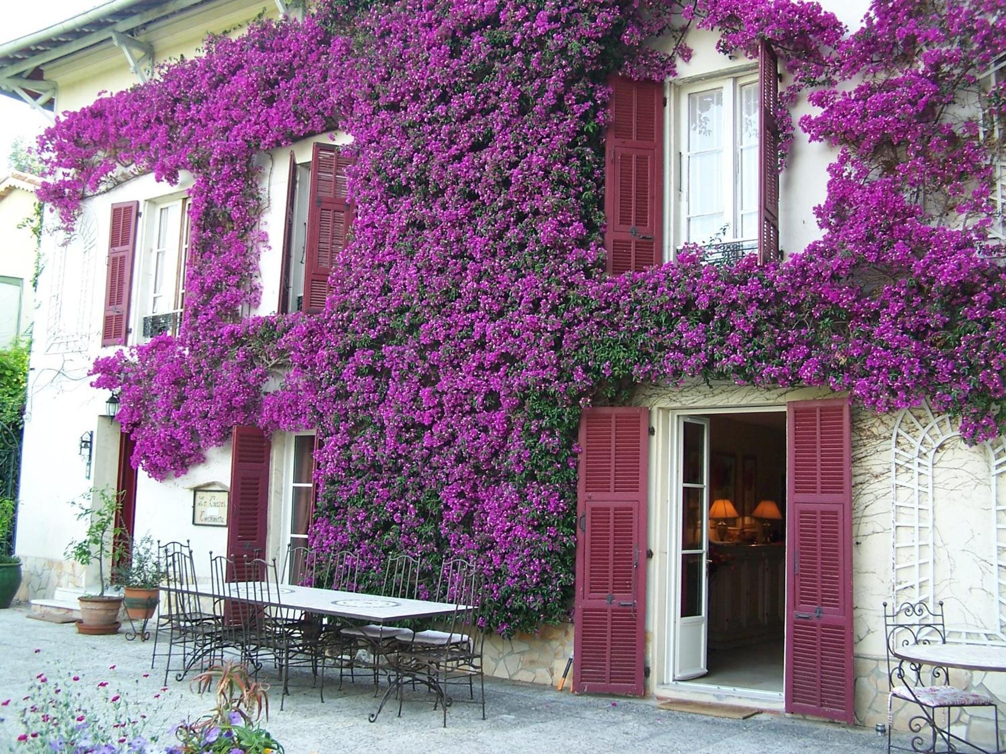 Castel Enchante Nice