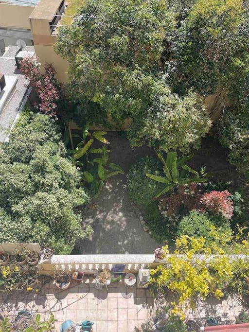Palais Massenet -exceptionnel 50m De La Apartment Nice