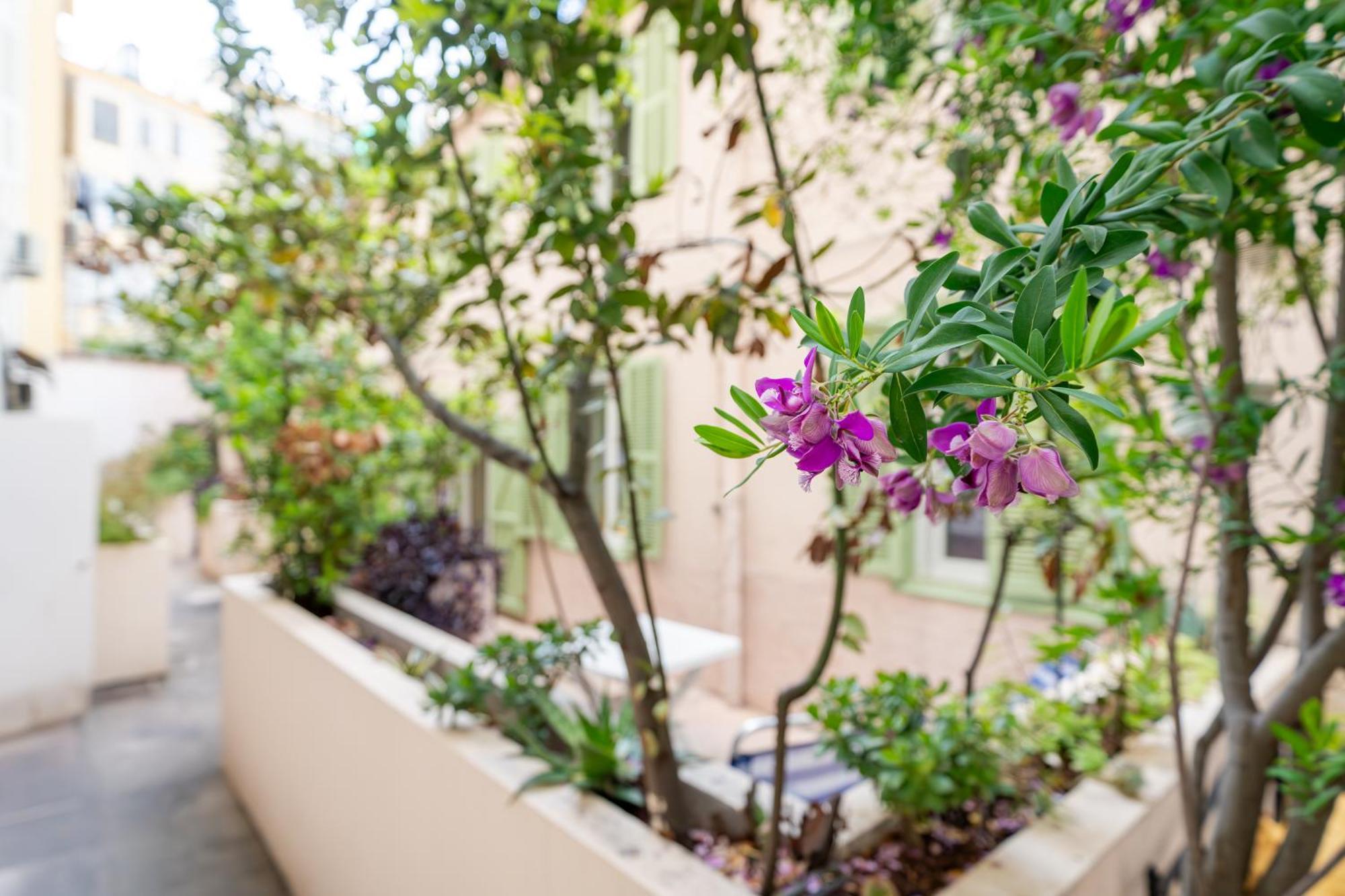 Apartamento 3 Pieces, Hyper-centre, Terrasse *