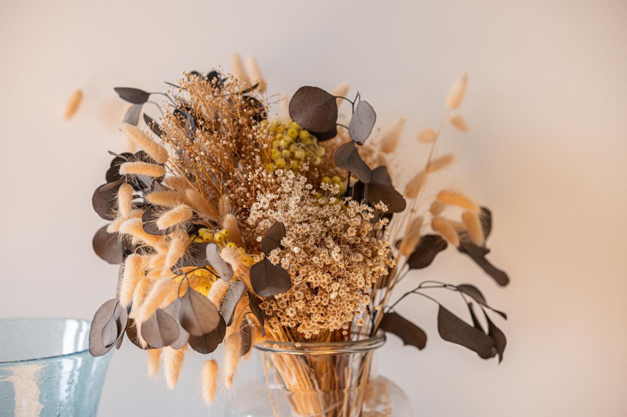 Feel - Vista Di Portu