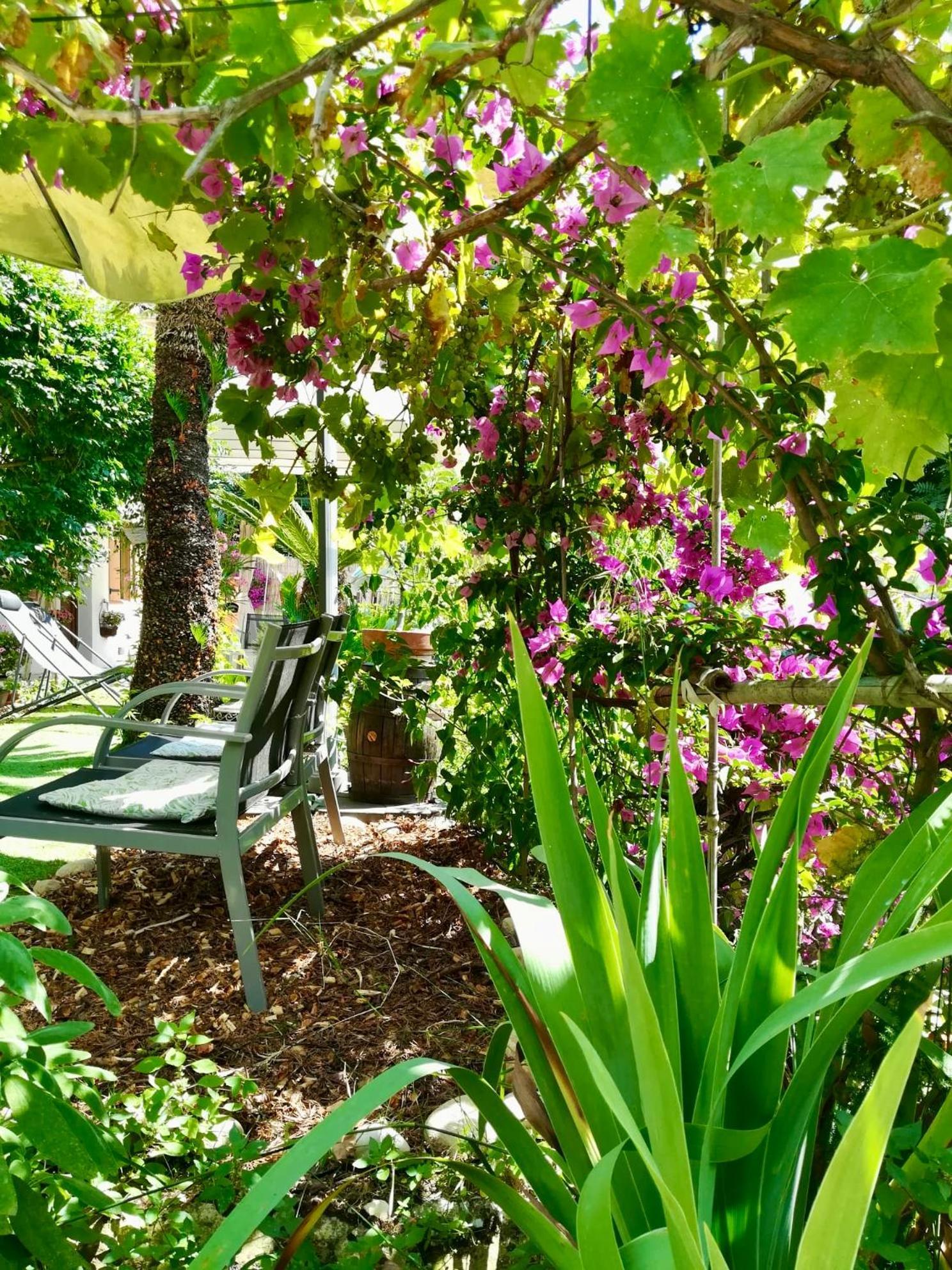 Bellabe Bed & Breakfast Nice