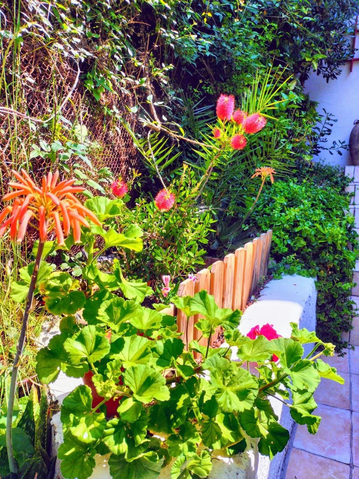 Bed & Breakfast Bellabe