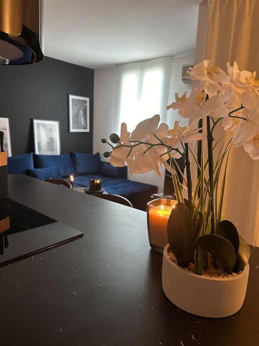 Neuf Et Renove Promenade Des