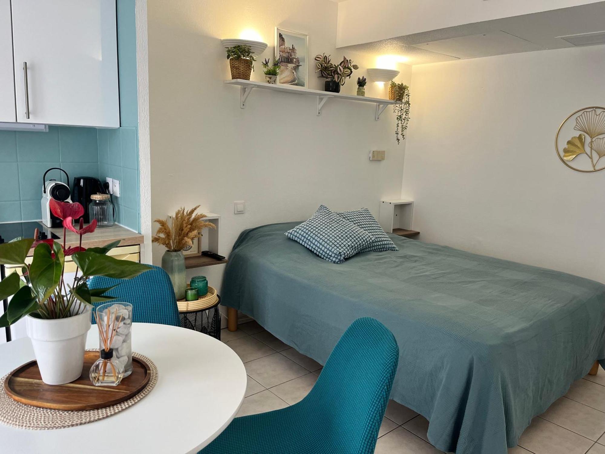 Appartement Studio Nice *