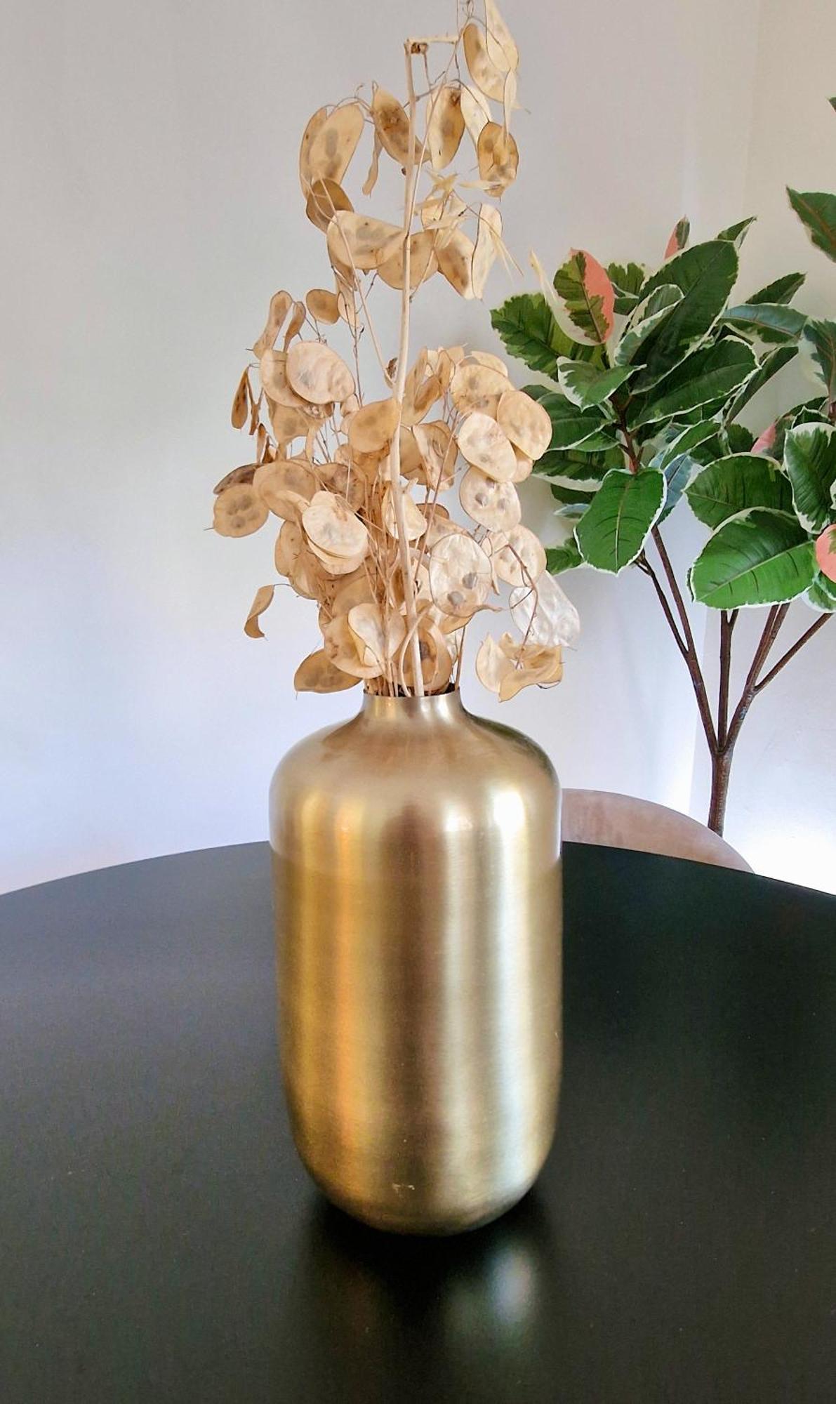 Jazzy Et Spacieux Prom Des Apartment Nice