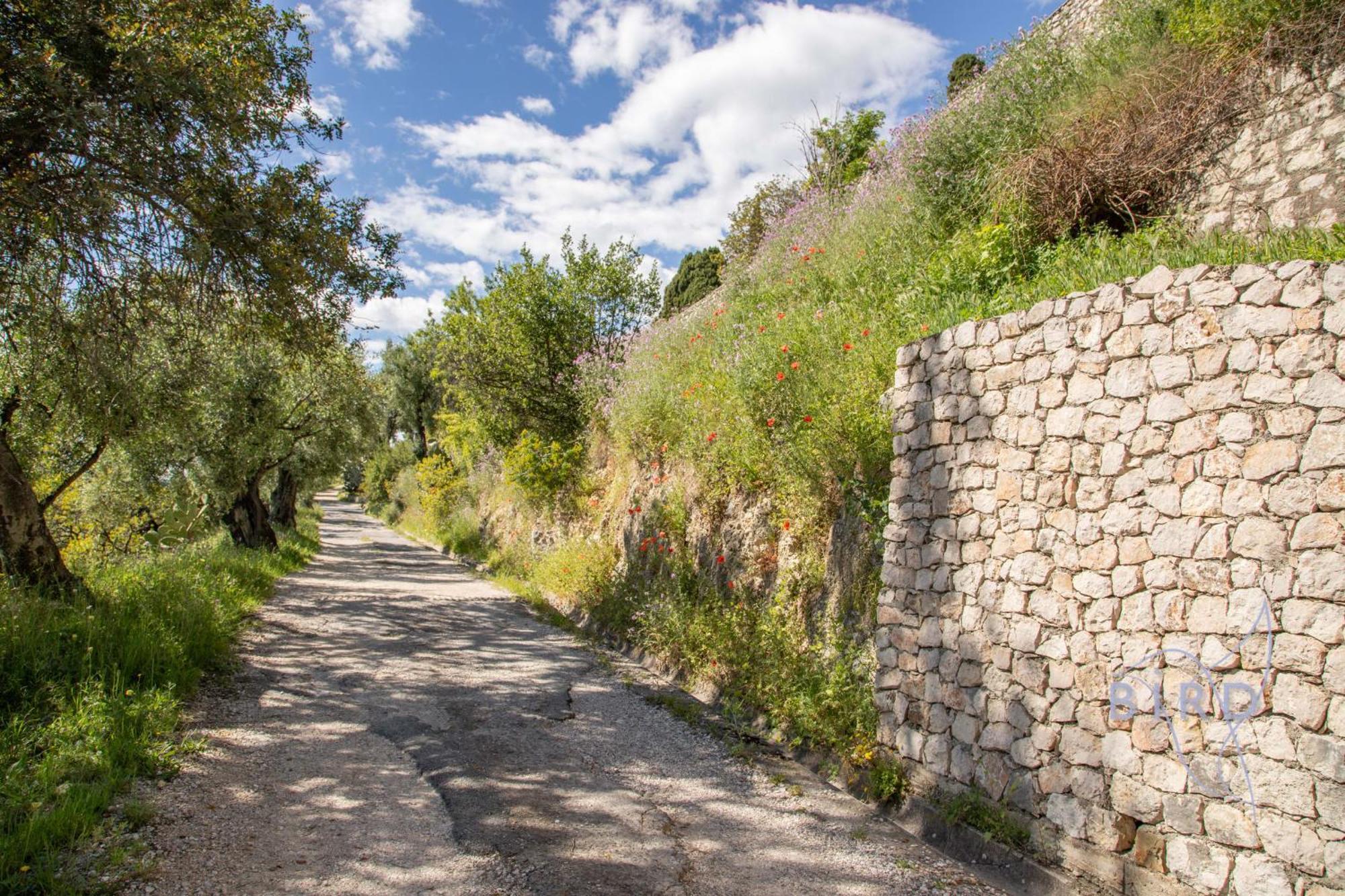Bonnard In Sea And View & Pool *