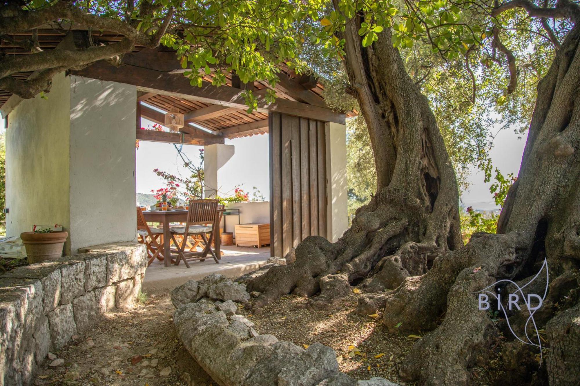 Bonnard In Sea And View & Pool * Nice