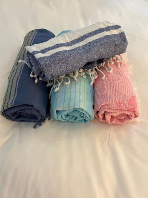 Rossetti Rosa Vieux 2 Bed Apartment Nice