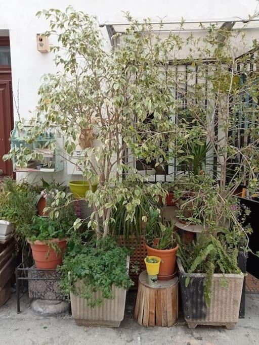Apartment Un Jardin En Nice