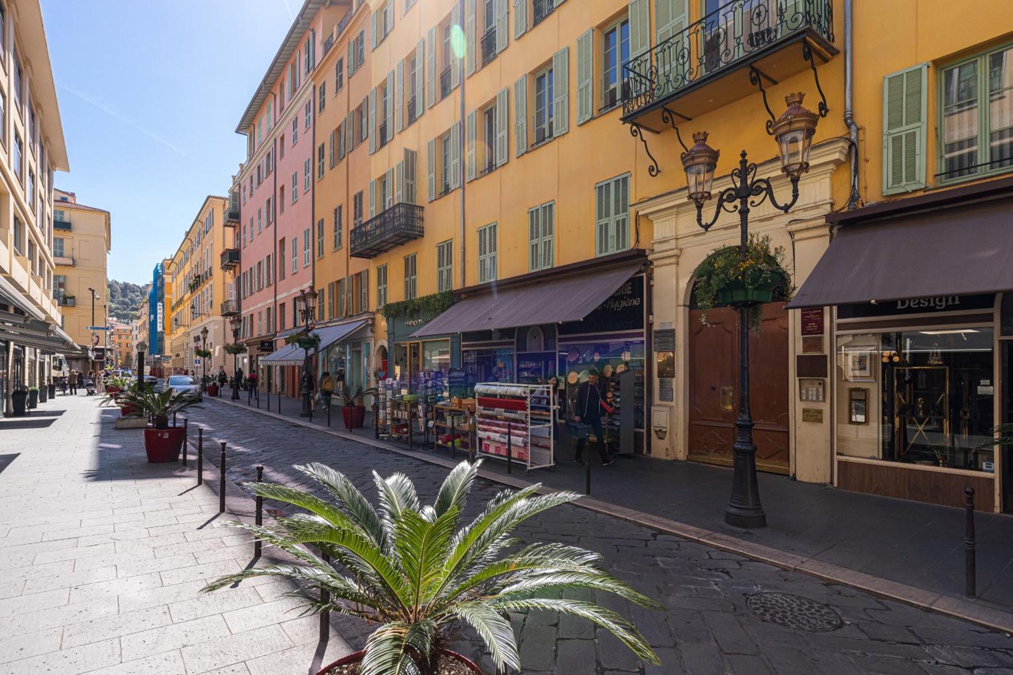 Magnifique Appartement, Centre - Massena *