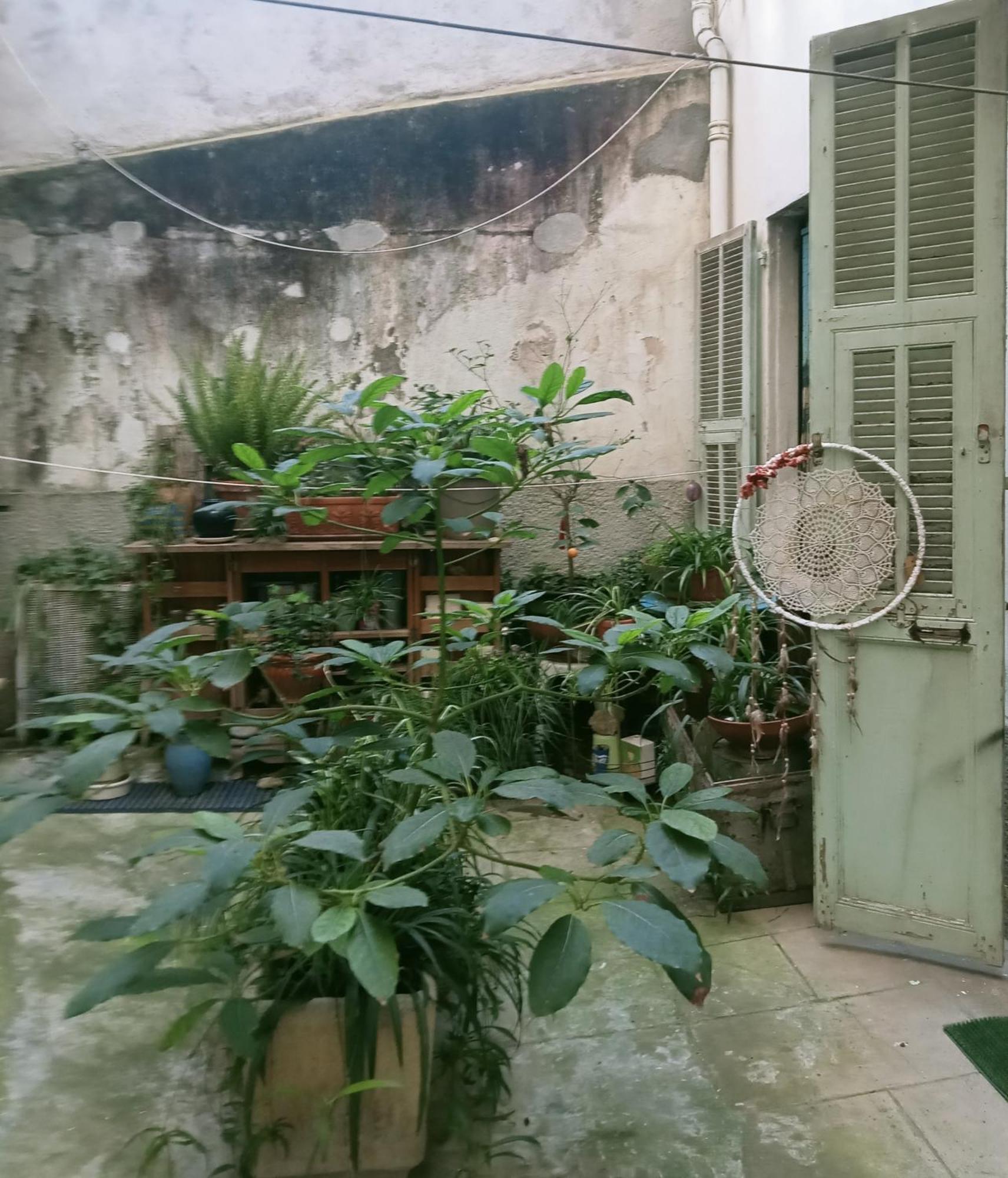 Apartment Un Jardin En *